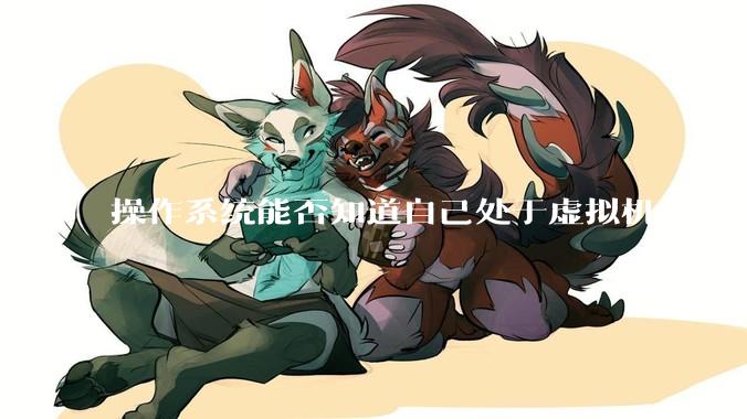 操作系统能否知道自己处于虚拟机中?