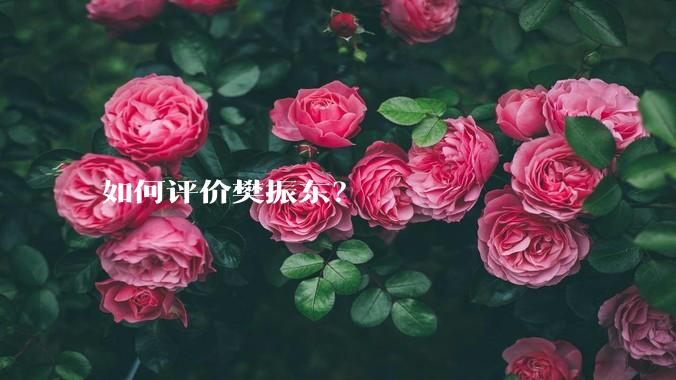 如何评价樊振东？