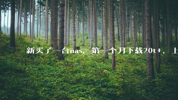 新买了一台nas，第一个月下载20t+，上传5+，不会被网警盯上吧?