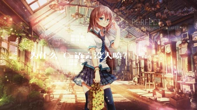 为什么 C 语言没人喷？