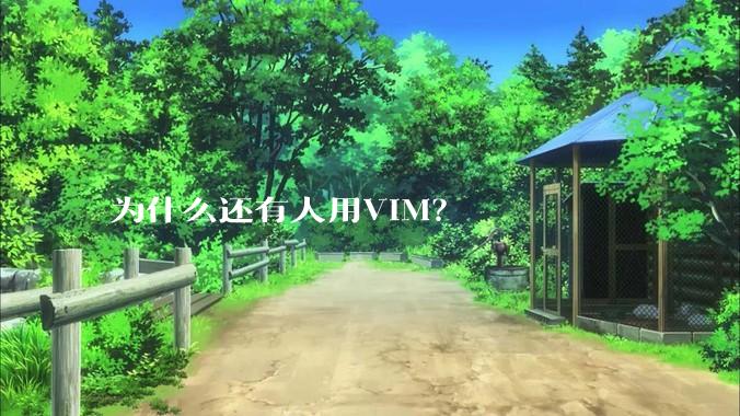 为什么还有人用VIM？