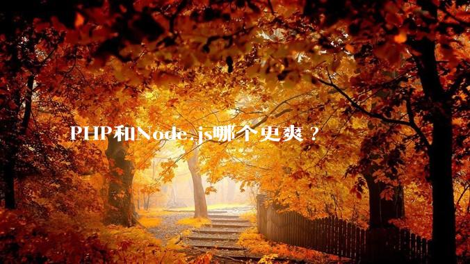 PHP和Node.js哪个更爽?