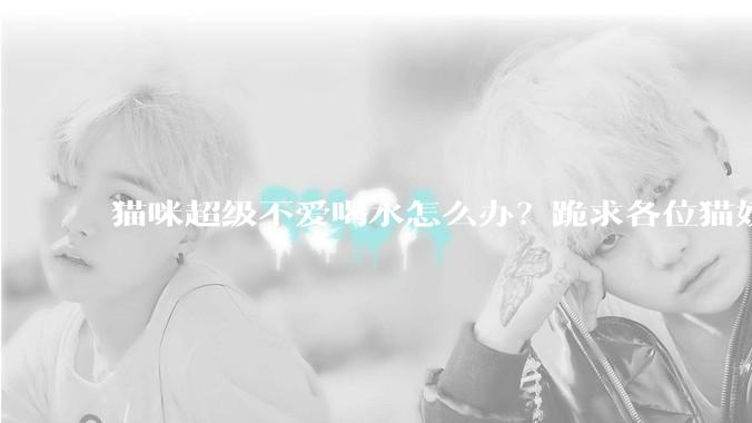 猫咪超级不爱喝水怎么办？跪求各位猫奴支招！？