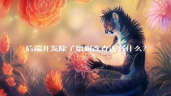 后端开发除了增删改查还有什么？