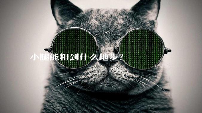 小腿能粗到什么地步？