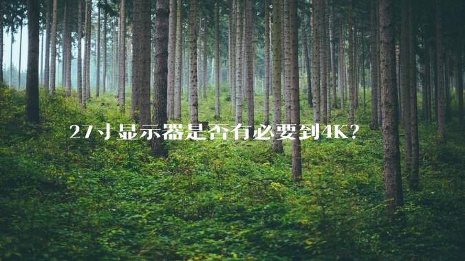 27寸显示器是否有必要到4K？