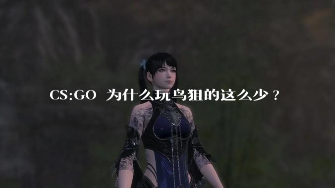 CS:GO 为什么玩鸟狙的这么少?
