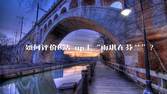 如何评价B站 up主“雨琪在芬兰”？