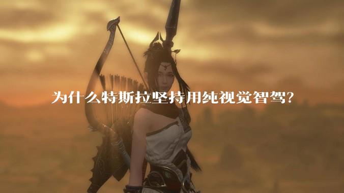 为什么特斯拉坚持用纯视觉智驾？