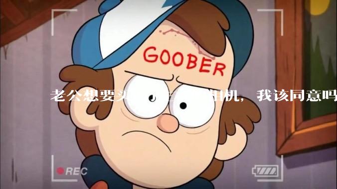 老公想要买2万左右的相机，我该同意吗？