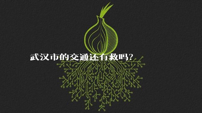 武汉市的交通还有救吗？