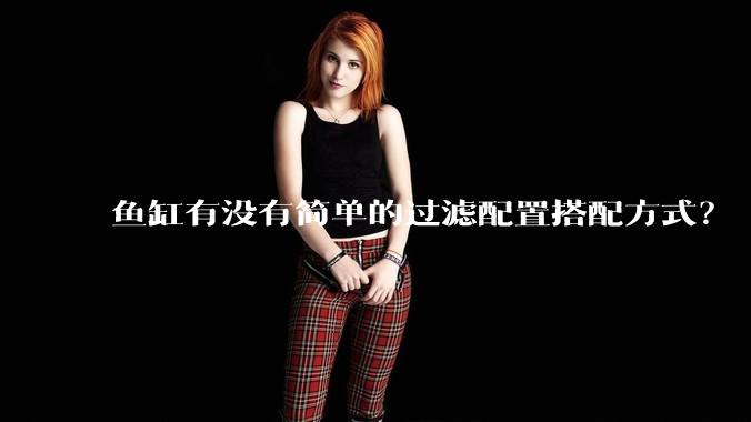 鱼缸有没有简单的过滤配置搭配方式？