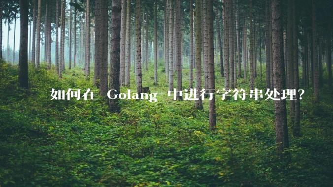 如何在 Golang 中进行字符串处理？