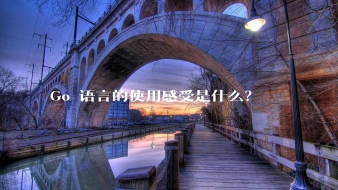 Go 语言的使用感受是什么？