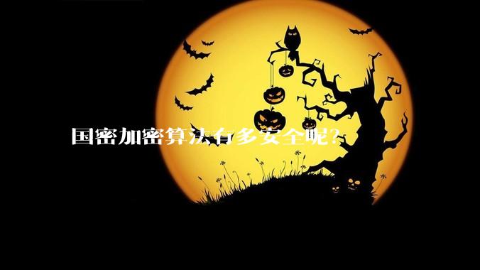 国密加密算法有多安全呢？