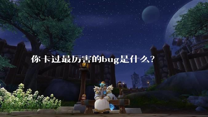你卡过最厉害的bug是什么？