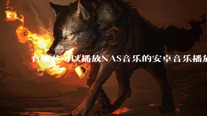 有哪些可以播放NAS音乐的安卓音乐播放器？