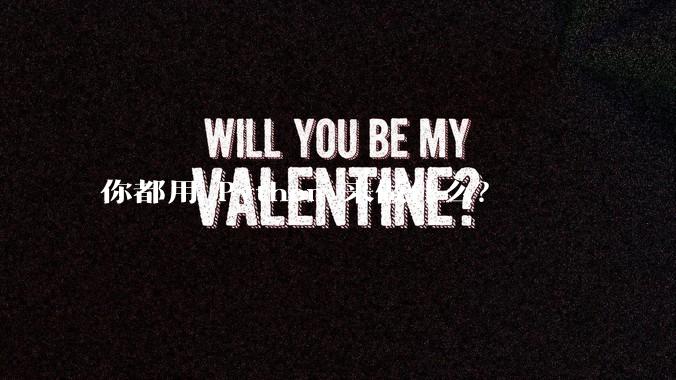 你都用 Python 来做什么？