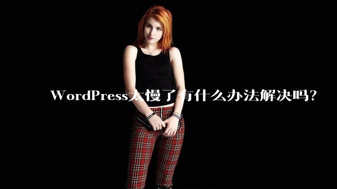 WordPress太慢了有什么办法解决吗？