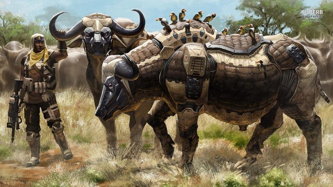 印度是真的烂还是咱们在信息茧房里面？